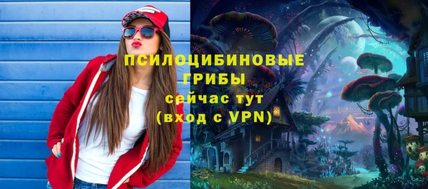 ешки Балахна