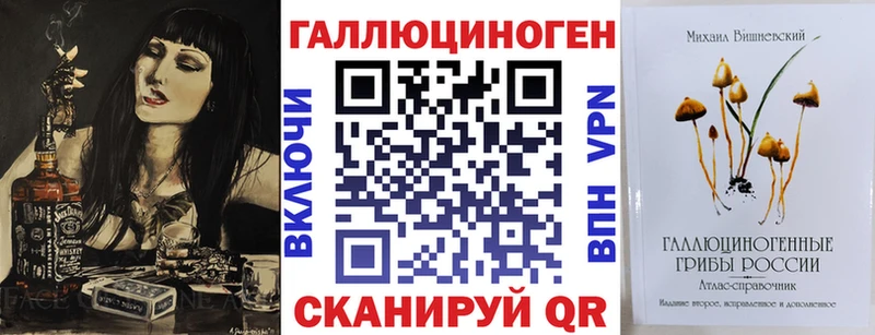 Псилоцибиновые грибы Psilocybine cubensis  Куртамыш 
