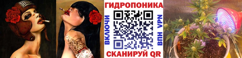закладки Куртамыш Шишки марихуана Amnesia